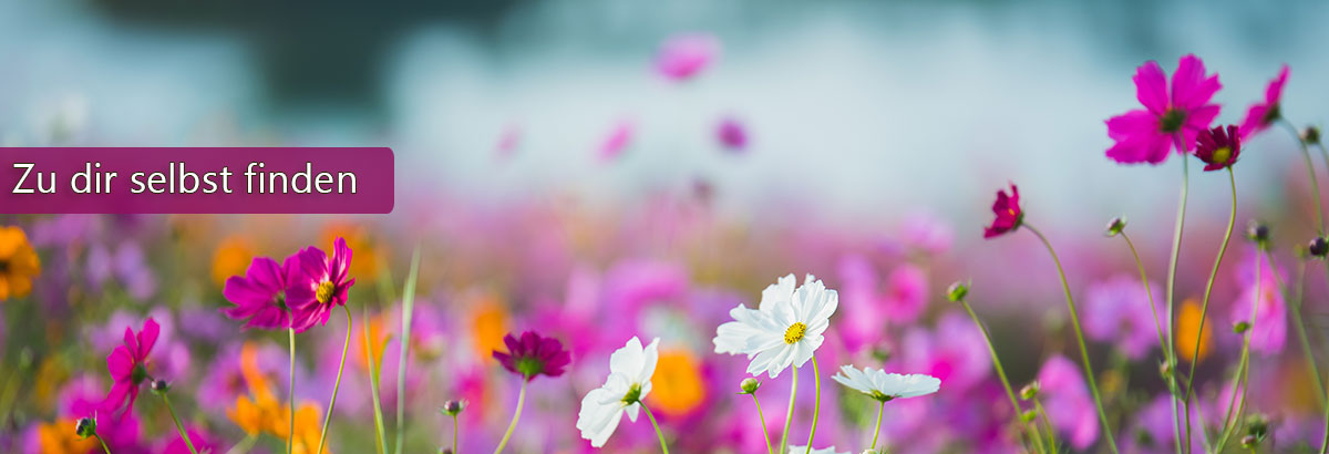 Blumenwiese - Beschriftung: Zu dir selbst finden