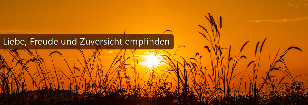 Ähren in der Abendsonne. Beschriftung: Liebe, Freude und Zuversicht empfinden.