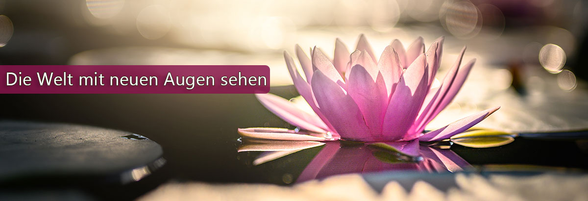 Eine Seerose im Sonnenlicht. Beschriftung: Die Welt mit neuen Augen sehen.