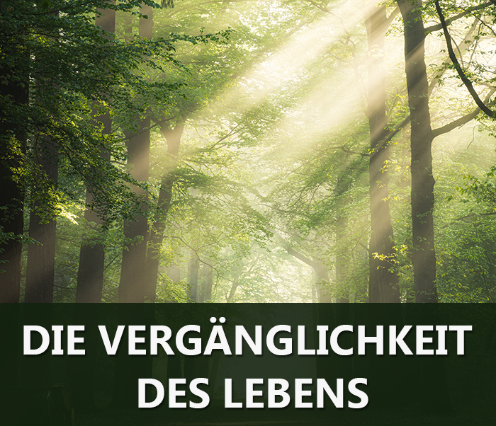 Die Vergänglichkeit des Lebens